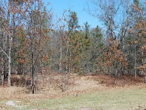 4236 Simba Trl, Grayling, MI 49738 photo 4