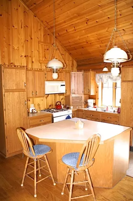 9947 Outing Place Grayling Mi 49738 Pl, Grayling, MI 49738 photo 16