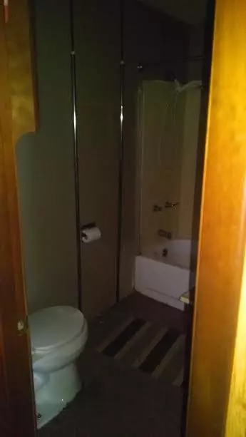 9216 W Cameron Bridge Rd, Frederic, MI 49733 photo 4