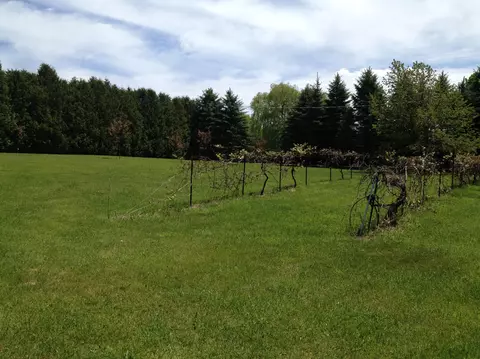 2175 E Spruce, Spruce, MI 48762 photo 35