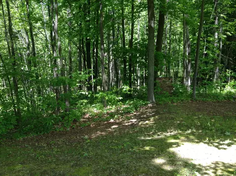 2175 E Spruce, Spruce, MI 48762 photo 33