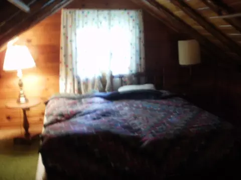 13750 Friendly Drive Wolverine Mi 49799 Dr, Wolverine, MI 49799 photo 18