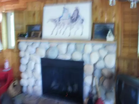 13750 Friendly Drive Wolverine Mi 49799 Dr, Wolverine, MI 49799 photo 14