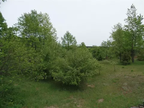 2383 Red School Rd, Brutus, MI 49716 photo 8