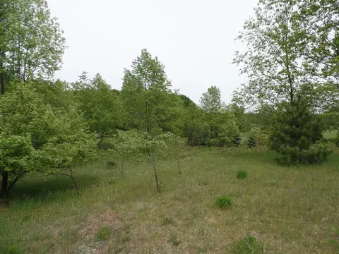 2383 Red School Rd, Brutus, MI 49716 photo 7