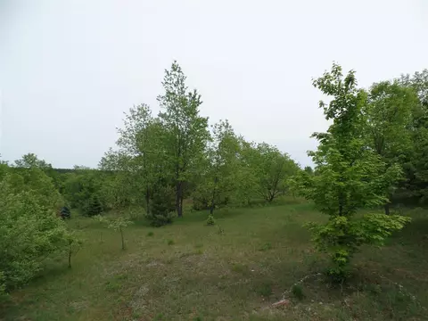 2383 Red School Rd, Brutus, MI 49716 photo 6