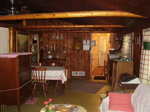 45 Thompson Rd, Mio, MI 48647 photo 8