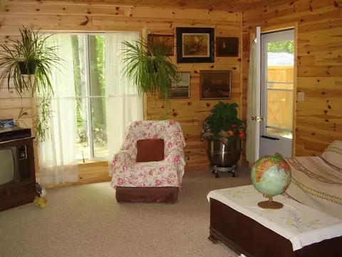 45 Thompson Rd, Mio, MI 48647 photo 7