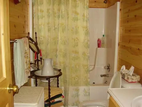 45 Thompson Rd, Mio, MI 48647 photo 11