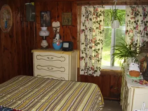45 Thompson Rd, Mio, MI 48647 photo 10