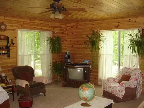 45 Thompson Rd, Mio, MI 48647 photo 6