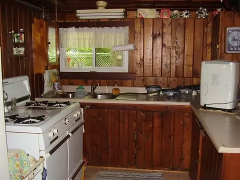 45 Thompson Rd, Mio, MI 48647 photo 5