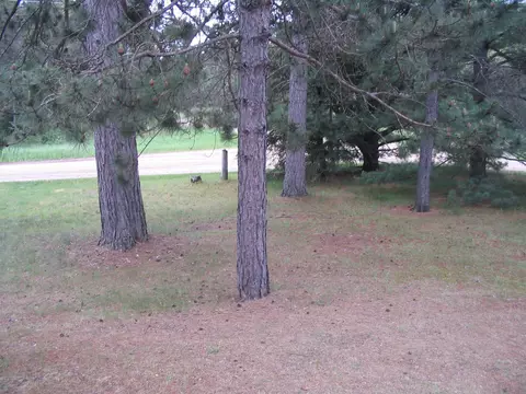 8990 S Oak Road Grayling Mi 49738 Rd, Grayling, MI 49738 photo 3