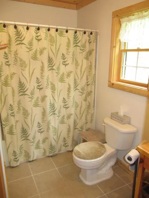 10719 Sanctuary Drive Frederic Mi 49733 Dr, Frederic, MI 49733 photo 18