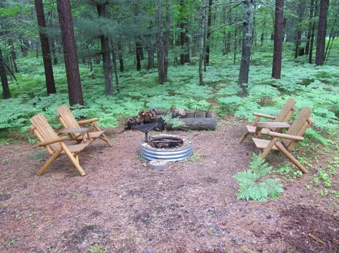 10719 Sanctuary Drive Frederic Mi 49733 Dr, Frederic, MI 49733 photo 28