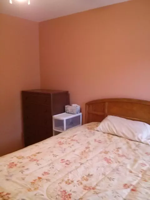 5883 W Main St, Wolverine, MI 49799 photo 8