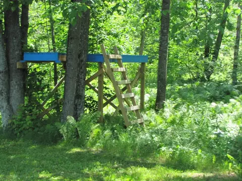 16313 Macarthur Rd, Lachine, MI 49753 photo 22