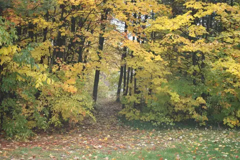 6860 Wolverine Rd, Wolverine, MI 49799 photo 24