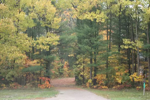 6860 Wolverine Rd, Wolverine, MI 49799 photo 23