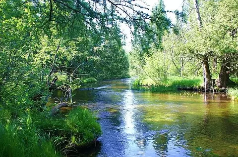 735 Wendy Lane Grayling Mi 49738 Ln, Grayling, MI 49738 photo 14