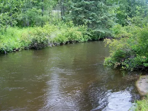 14721 Trowbridge Road Wolverine Mi 49799 Rd, Wolverine, MI 49799 photo 33