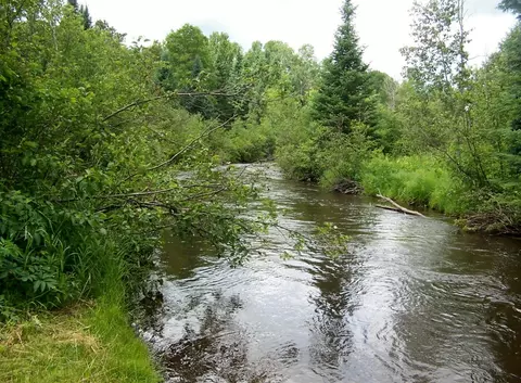 14721 Trowbridge Road Wolverine Mi 49799 Rd, Wolverine, MI 49799 photo 3