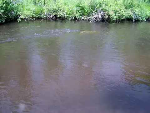 14721 Trowbridge Road Wolverine Mi 49799 Rd, Wolverine, MI 49799 photo 34