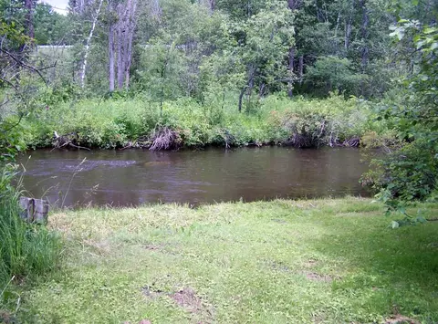 14721 Trowbridge Road Wolverine Mi 49799 Rd, Wolverine, MI 49799 photo 13
