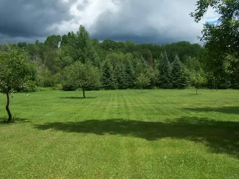 14721 Trowbridge Road Wolverine Mi 49799 Rd, Wolverine, MI 49799 photo 12