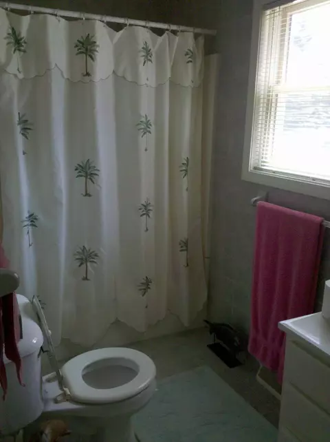 9595 Ampere Ave, Onaway, MI 49765 photo 5
