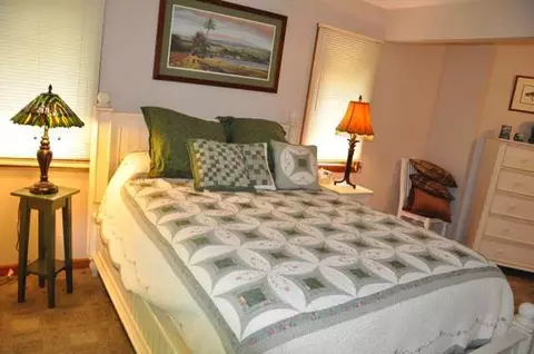 8060 Devils Elbow Rd, Brutus, MI 49716 photo 4