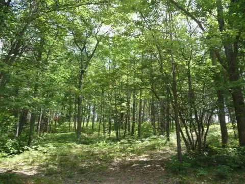 2270 Chipmunk Trl, Grayling, MI 49738 photo 18
