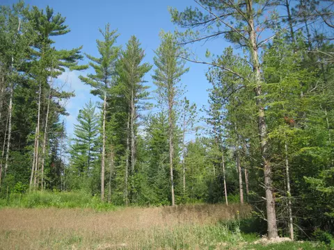 73 N Galbraith Road Mio Mi 48647 Rd, Mio, MI 48647 photo 19