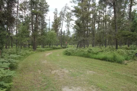 5538 Walsh Rd, Grayling, MI 49738 photo 23