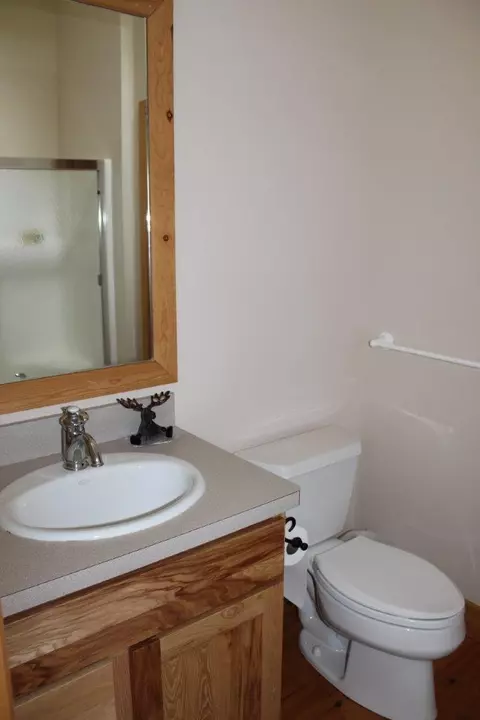 7350 Maple River Rd, Brutus, MI 49716 photo 13