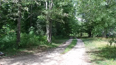 7675 Silver Lake Rd, Wolverine, MI 49799 photo 15