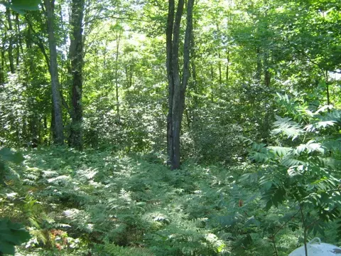7675 Silver Lake Rd, Wolverine, MI 49799 photo 7