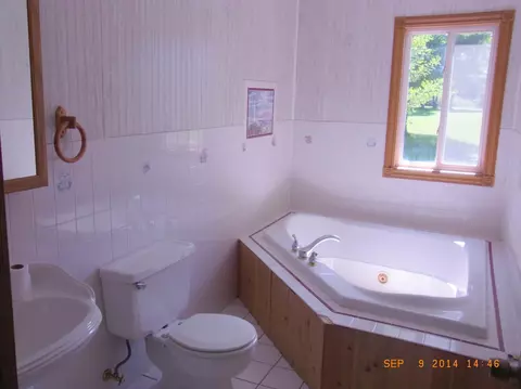 321 Thumb Lake Road Vanderbilt Mi 49795 Rd, Vanderbilt, MI 49795 photo 10