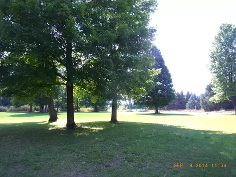321 Thumb Lake Road Vanderbilt Mi 49795 Rd, Vanderbilt, MI 49795 photo 13