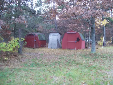 4765 Wilderness Trail Grayling Mi 49738 Trl, Grayling, MI 49738 photo 6