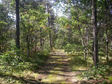596 E M-72 Highway Grayling Mi 49738 Hwy, Grayling, MI 49738 photo 24