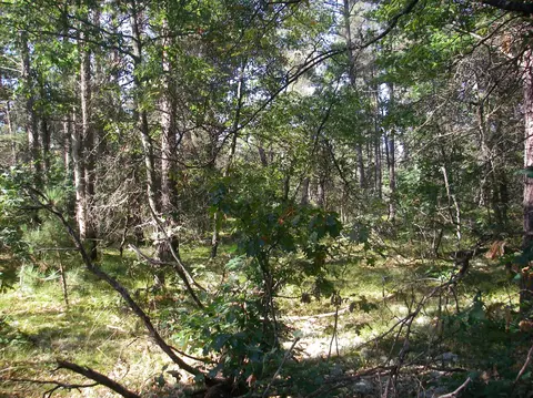 596 E M-72 Highway Grayling Mi 49738 Hwy, Grayling, MI 49738 photo 26