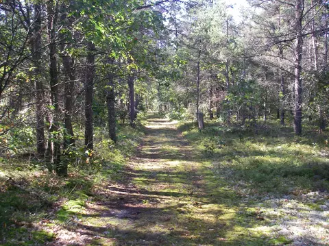 596 E M-72 Highway Grayling Mi 49738 Hwy, Grayling, MI 49738 photo 23