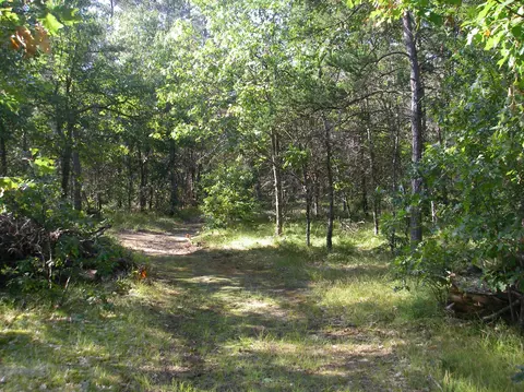 596 E M-72 Highway Grayling Mi 49738 Hwy, Grayling, MI 49738 photo 22