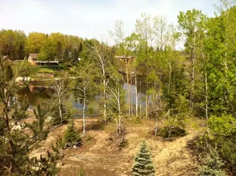 3616 N View Drive Wolverine Mi 49799 Dr, Wolverine, MI 49799 photo 6