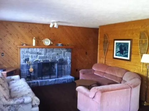 3616 N View Drive Wolverine Mi 49799 Dr, Wolverine, MI 49799 photo 9