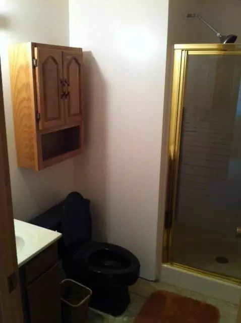 3616 N View Drive Wolverine Mi 49799 Dr, Wolverine, MI 49799 photo 14