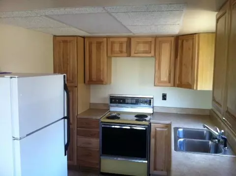 3616 N View Drive Wolverine Mi 49799 Dr, Wolverine, MI 49799 photo 10