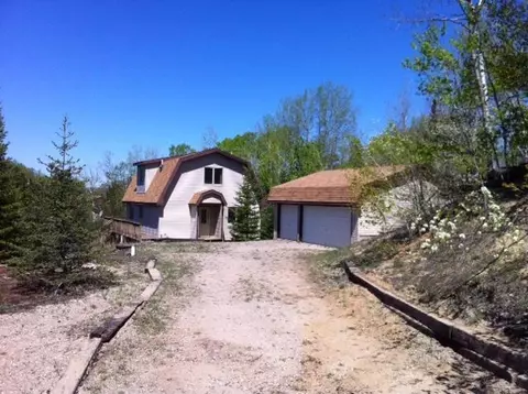 3616 N View Drive Wolverine Mi 49799 Dr, Wolverine, MI 49799 photo 3