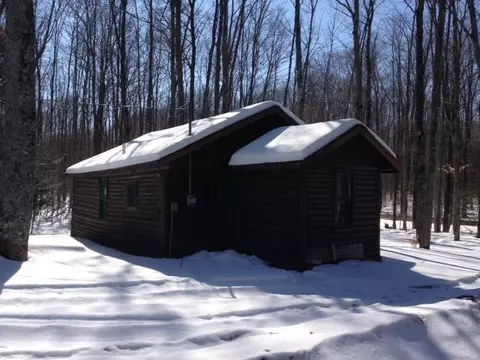 6869 Cherwinski Vanderbilt Mi 49795, Vanderbilt, MI 49795 photo 9
